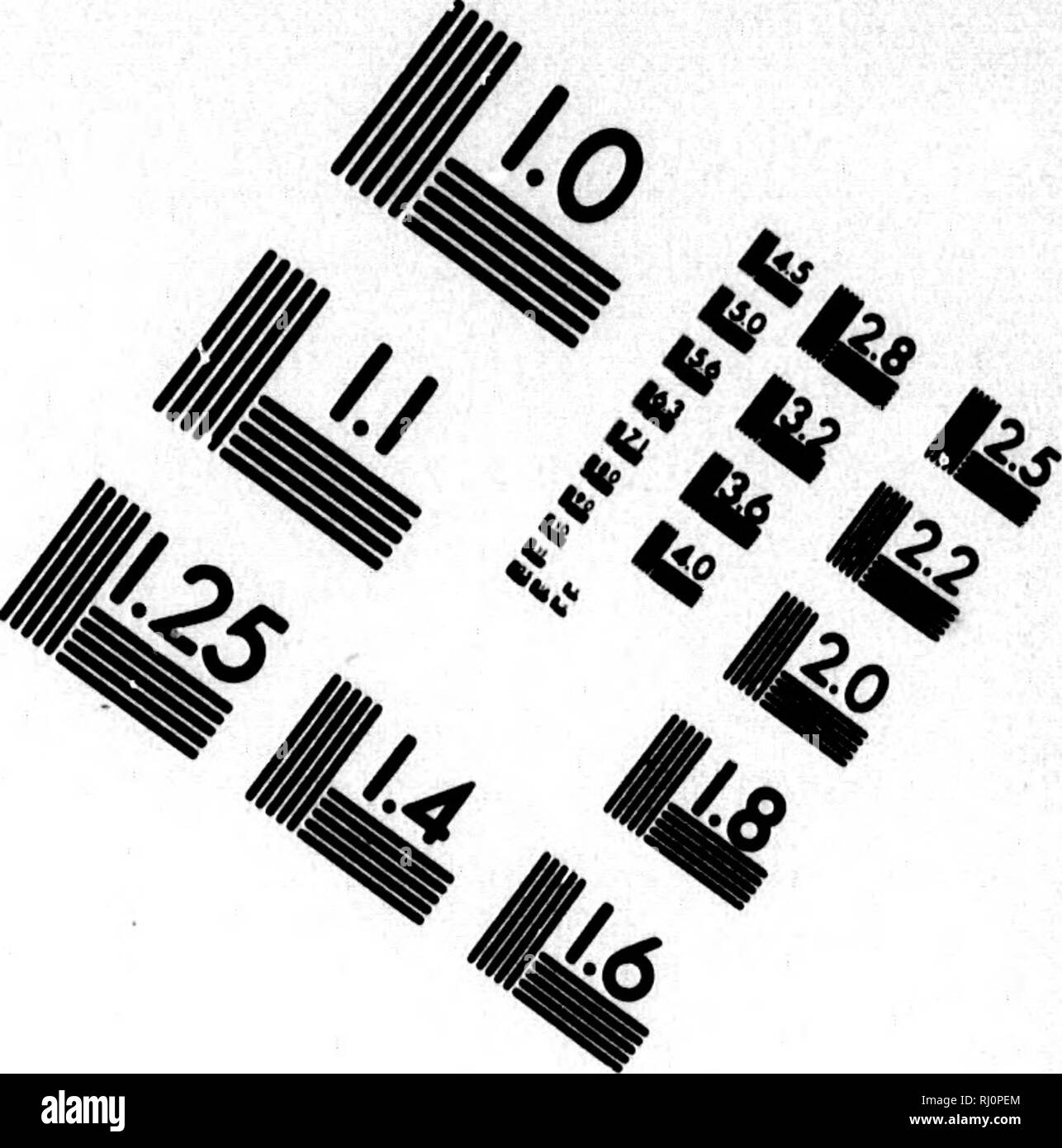 . Reisen in den Vereinigten Staaten, Canada und Messico [microformati]. Zoologia; Zoologie. Valutazione di immagine il bersaglio di test (MT-3). LO l.l IM bä|28 ^ läi&amp; wri Z U£ mi2-0 11.25 ho 1.4 6" 1.6. Si prega di notare che queste immagini vengono estratte dalla pagina sottoposta a scansione di immagini che possono essere state migliorate digitalmente per la leggibilità - Colorazione e aspetto di queste illustrazioni potrebbero non perfettamente assomigliano al lavoro originale. Müller, J. W. von (Johann Wilhelm von), Baron, 1824-1866. Leipzig : F. A. Brockhaus Foto Stock