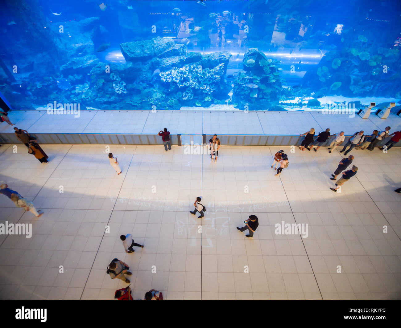 Dubai, Emirati Arabi Uniti - 15 Maggio 2018: Acquario in Dubai Mall - più grande del mondo di shopping mall, Downtown Burj Khalifa. Foto Stock