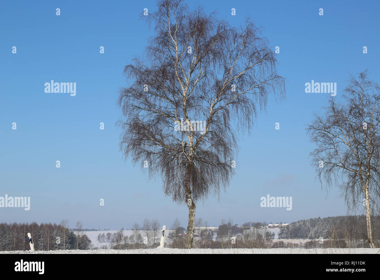 Inverno 2019 giornata di sole Foto Stock