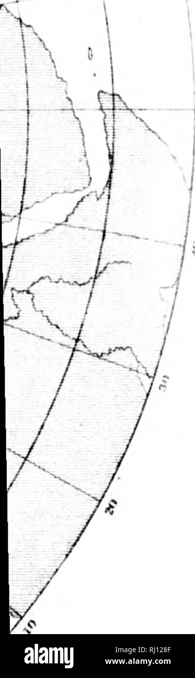 . Relazione sui lavori del Stati Uniti spedizione al Lady Franklin Bay, Grinnell Land [microformati] . Maree; meteorologia; meteorologia; Zoologia e botanica; il magnetismo terrestre; Astronomia; Astronomia; gravità; María©es; MÃ©tÃ©orologie; ; ; ; ; ; ; . 1883, X ^ &gt;-'- .^A-'. La lady FRANKLIN BAY EXPEDITION. 317 secondo]. A 2,30 p. m. L'anemometro rotto, in modo che più tardi il vento, che probabilmente ha raggiunto 100 miglia all'ora (44,7"" al secondo] era necessariamente stimato. Per quasi due ore è sembrato possibile che tutto il Parlamento potrebbe bruciare nella baia, e nonostante l'energia del Foto Stock
