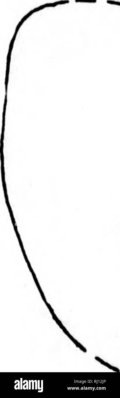 . Relazione sui lavori del Stati Uniti spedizione al Lady Franklin Bay, Grinnell Land [microformati] . Maree; meteorologia; meteorologia; Zoologia e botanica; il magnetismo terrestre; Astronomia; Astronomia; gravità; Marées; Météorologie; ; ; ; ; ; ; . Mappa ."). Annuale di fluttuazione della pressione atmosferica. Aree del mensile iMINIMUM M]:ANS. in ?1 ii / / / / / ^ / / /. Ua.7%-u,a,Oeptem rtf.'heT I. Si prega di notare che queste immagini vengono estratte dalla pagina sottoposta a scansione di immagini che possono essere state migliorate digitalmente per la leggibilità - Colorazione e aspetto di queste illustrazioni potrebbero non perfettamente res Foto Stock