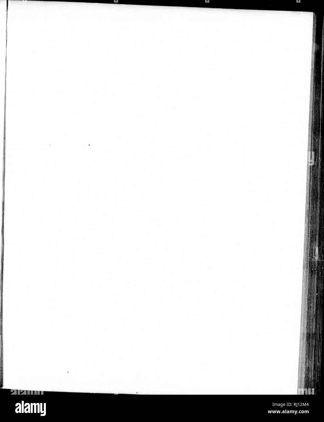 . Relazione sui lavori del Stati Uniti spedizione al Lady Franklin Bay, Grinnell Land [microformati] . Maree; meteorologia; meteorologia; Zoologia e botanica; il magnetismo terrestre; Astronomia; Astronomia; gravità; Marées; Météorologie; ; ; ; ; ; ; . ^11 ART 1. / / 5*' iiuler-. Si prega di notare che queste immagini vengono estratte dalla pagina sottoposta a scansione di immagini che possono essere state migliorate digitalmente per la leggibilità - Colorazione e aspetto di queste illustrazioni potrebbero non perfettamente assomigliano al lavoro originale. Greely, A. W. (Adolphus Washington), 1844-1935; riserve. Washington : G. P. O. Foto Stock