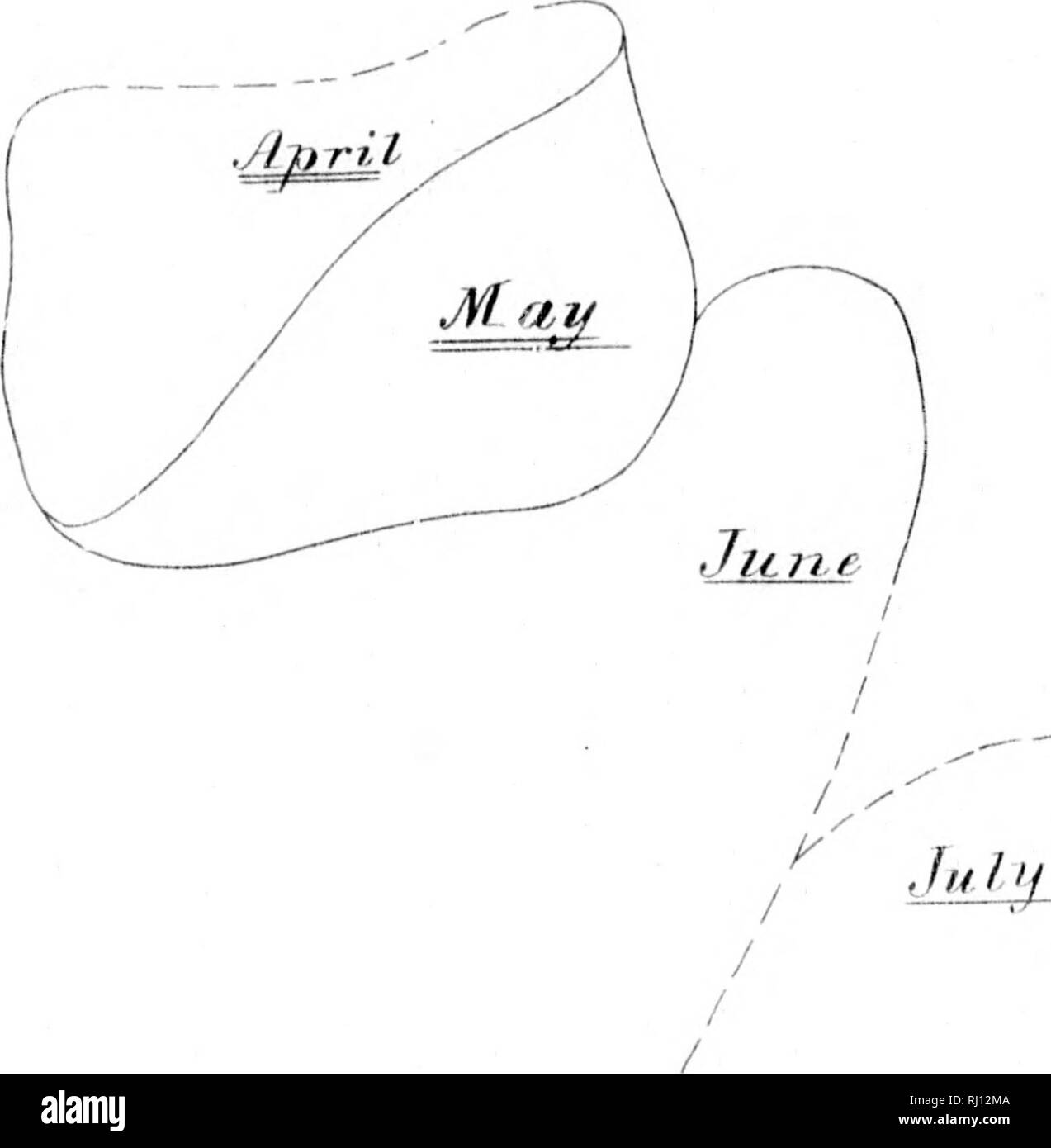 . Relazione sui lavori del Stati Uniti spedizione al Lady Franklin Bay, Grinnell Land [microformati] . Maree; meteorologia; meteorologia; Zoologia e botanica; il magnetismo terrestre; Astronomia; Astronomia; gravità; MarÃÂ©es; MÃÂ©tÃÂ©orologie; ; ; ; ; ; ; . I f! Tt annuale di FI,UCTlTI()N DI ATMOSIMIKIfK' PK'KSSIIM: MON'IIII.V MKANS. OlIAKT 1. A1{EAS DI MAXIMTM. / I / / / s 's4^ Nota.âMotitlis douljly uiKli^rscornd iiidiVato iiiaximinn media di tlie }'Oiir, siiij:&GT;-ly sotto- segnato indicano .^(â (â ¢(â ¢(lulai'y inaxinium media dei voar. H Mis 393 40 1. Si prega di notare che queste immagini sono extrac Foto Stock
