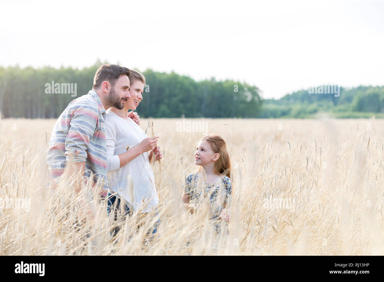 Ragazza guardando i genitori amorevoli in piedi nella fattoria di grano Foto Stock
