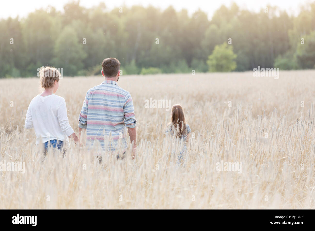 Vista posteriore della famiglia passeggiate in mezzo delle colture in fattoria Foto Stock
