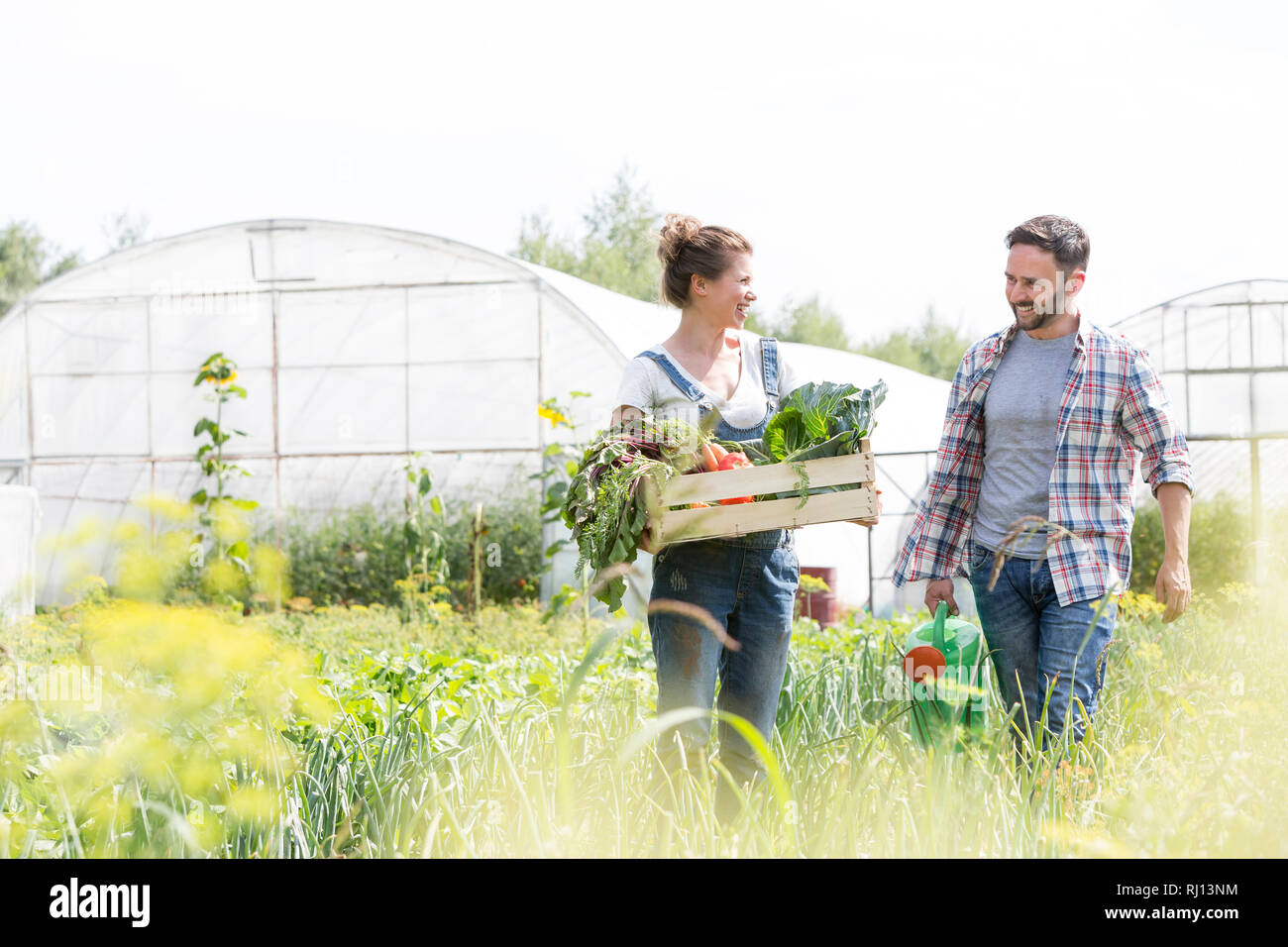 Coppia felice di parlare tenendo cassa vegetali con annaffiatoio presso l'azienda Foto Stock