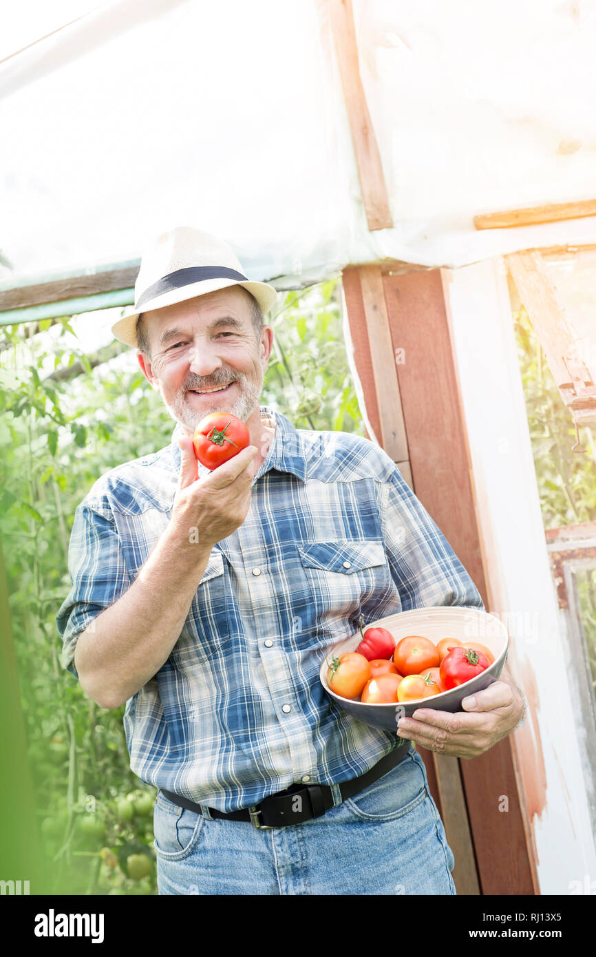 Ritratto di contadino sorridente con pomodori organico nel contenitore presso l'azienda Foto Stock