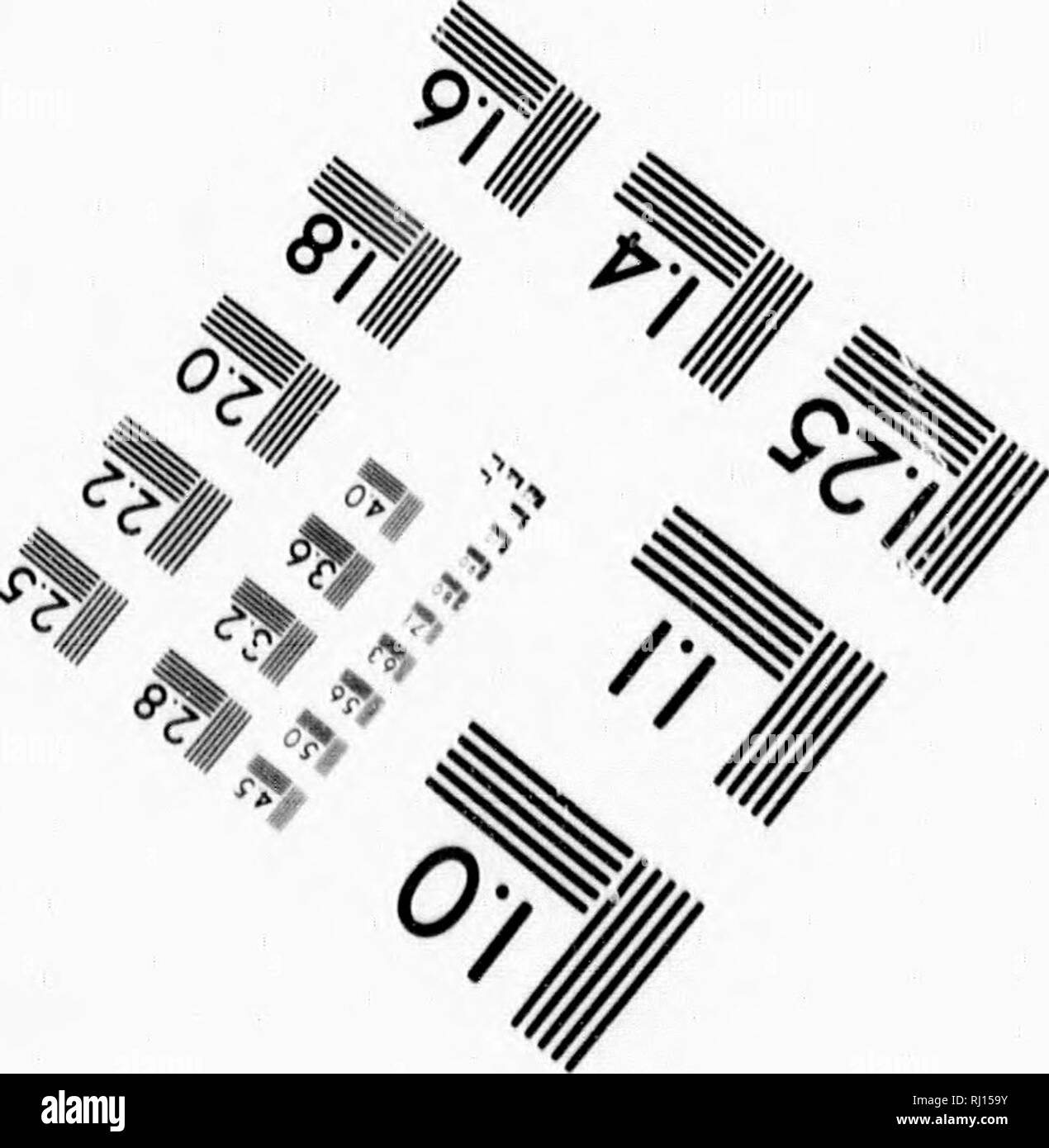 . La terra, il mare e il cielo o, meraviglie dell universo [microformati] : essendo un completo e la descrizione grafica di tutto ciò che è meraviglioso in tutti i continenti del globo, nel mondo delle acque e il cielo stellato : contenente emozionanti avventure di terra e di mare ... : Abbracciando la colpisce le caratteristiche fisiche della terra ... compresa una vivida descrizione degli oceani Atlantico, Pacifico e Indiano ... : Insieme con i sorprendenti fenomeni di solare e sistemi di stellato : il tutto comprendente un grande tesoro di tutto ciò che è meraviglioso e meraviglioso in terra, mare, aria e cielo. La scienza; naturale hist Foto Stock