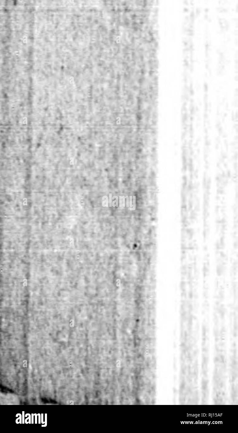 . Manuale di storia naturale, la geologia e la fisica della Groenlandia e delle regioni limitrofe / preparati per l'utilizzo della spedizione artica del 1875, sotto la direzione del comitato di artico della Royal Society e edito da T. Rupert Jones. Insieme con le istruzioni suggerite dal Comitato artico della Royal Society per l'utilizzo della spedizione / pubblicato dal potere dei signori Commissari di Admiralty [microformati]. Storia naturale; spedizioni scientifiche; Sciences Naturelles; ExpÃ©ditions scientifiques. 712 il magnetismo terrestre. Tvliicli cattivo stato ottenuto precedente per tb Foto Stock