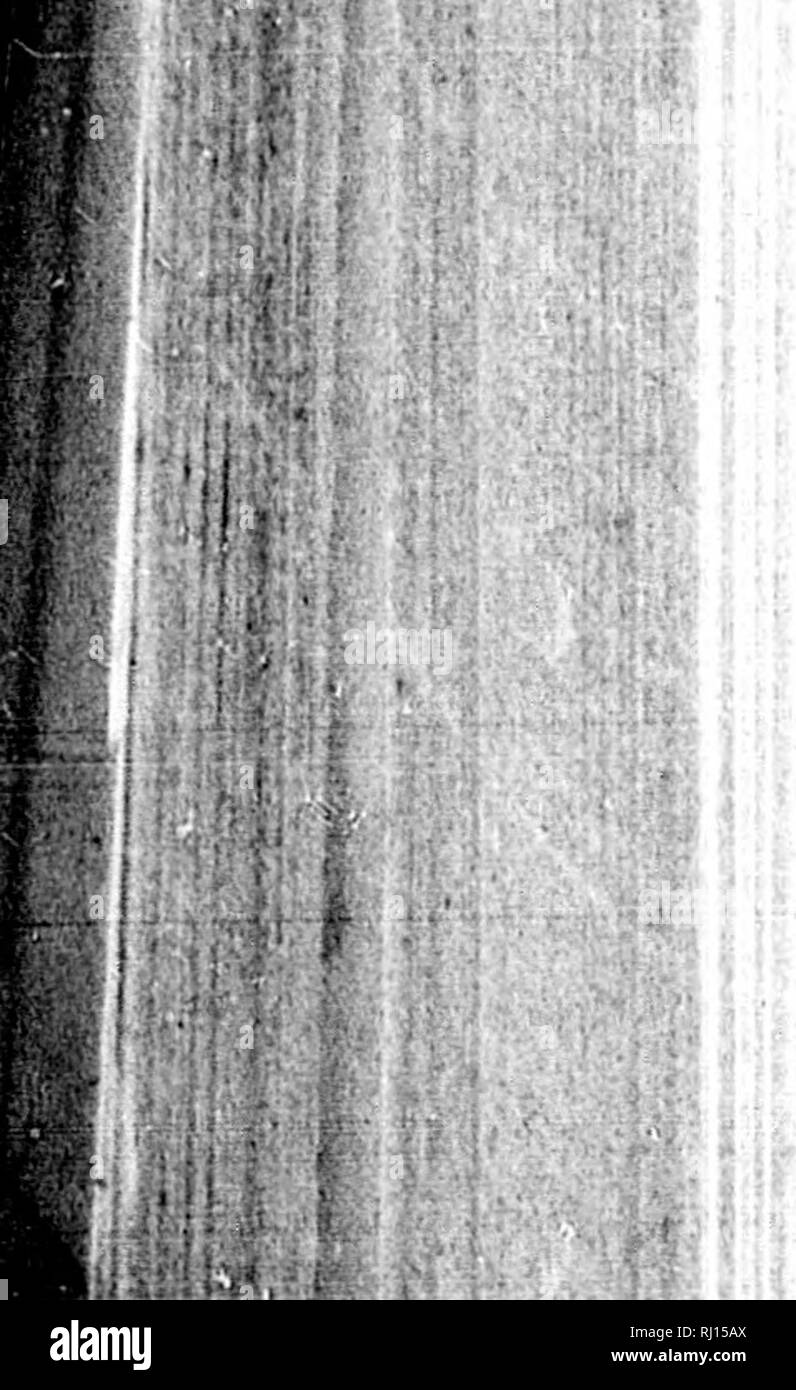 . Manuale di storia naturale, la geologia e la fisica della Groenlandia e delle regioni limitrofe / preparati per l'utilizzo della spedizione artica del 1875, sotto la direzione del comitato di artico della Royal Society e edito da T. Rupert Jones. Insieme con le istruzioni suggerite dal Comitato artico della Royal Society per l'utilizzo della spedizione / pubblicato dal potere dei signori Commissari di Admiralty [microformati]. Storia naturale; spedizioni scientifiche; Sciences Naturelles; ExpÃ©ditions scientifiques. 700 il magnetismo terrestre. 1 &gt; J . r. Si io ho. Se il nnglo f è Foto Stock