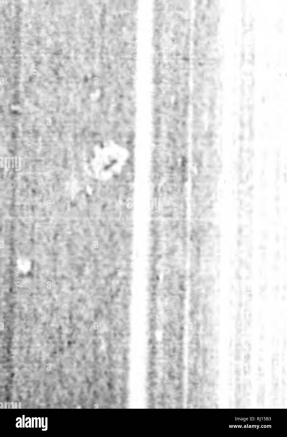 . Manuale di storia naturale, la geologia e la fisica della Groenlandia e delle regioni limitrofe / preparati per l'utilizzo della spedizione artica del 1875, sotto la direzione del comitato di artico della Royal Society e edito da T. Rupert Jones. Insieme con le istruzioni suggerite dal Comitato artico della Royal Society per l'utilizzo della spedizione / pubblicato dal potere dei signori Commissari di Admiralty [microformati]. Storia naturale; spedizioni scientifiche; Sciences Naturelles; Expéditions scientifiques. *^**"w"teKtt ""a"",,,,,^^ 704 magnetismo terrestre. i|tf r. Nel febbraio 1 Foto Stock