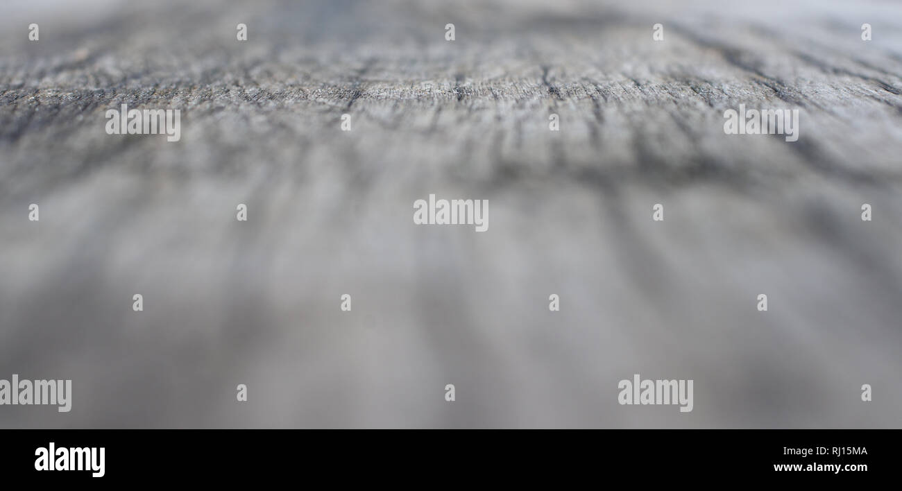 Texture di legno in prospettiva con profondità di campo Foto Stock