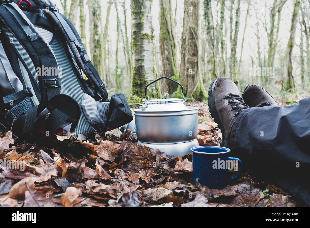 Un uomo seduto nel bosco. Foto Stock