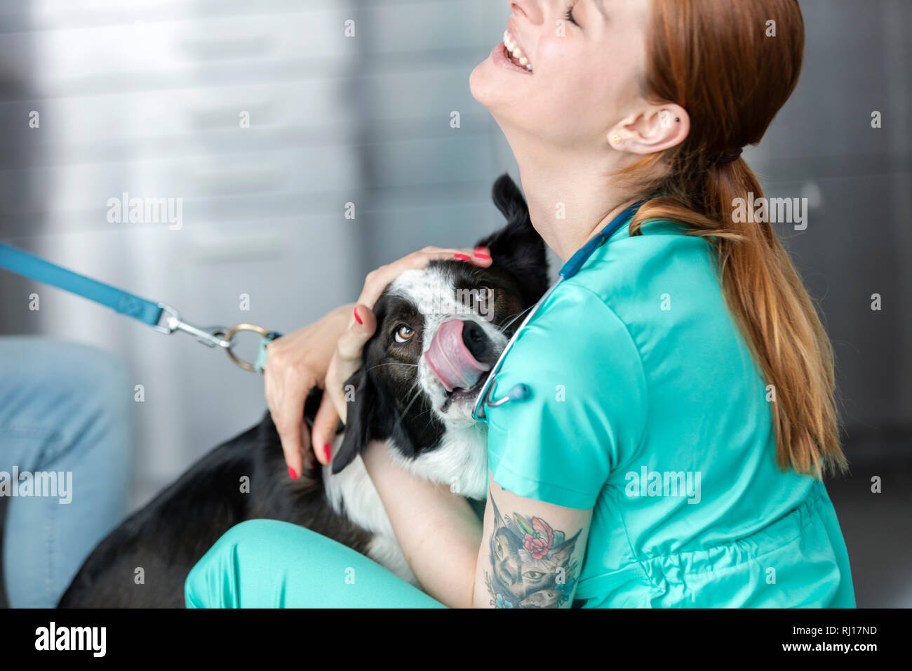 Sorridente giovane medico veterinario abbracciando il cane in clinica Foto Stock