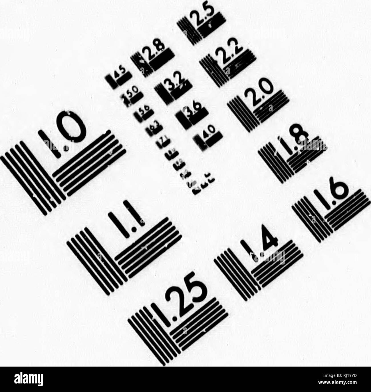 . Erbacce e come li sradica [microformati]. Le erbe infestanti il controllo delle piante infestanti; Mauvaises herbes; Mauviases herbes, Lutte contre les. Valutazione di immagine il bersaglio di test (MT-3) FC a i %" f/. 1.0 I.I UA M. 12,5 K â ^ mi2Â£ 12.2 IL25 mi 1.4 1.6 6". Si prega di notare che queste immagini vengono estratte dalla pagina sottoposta a scansione di immagini che possono essere state migliorate digitalmente per la leggibilità - Colorazione e aspetto di queste illustrazioni potrebbero non perfettamente assomigliano al lavoro originale. Shaw, Thomas, 1843-1918. Toronto : J. E. Bryant Foto Stock