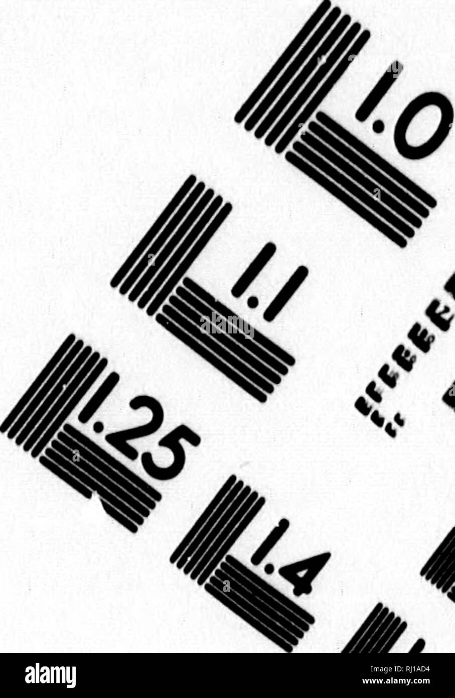 . Audubon e i suoi diari [microformati]. Audubon, Giovanni Giacomo, 1785-1851; Audubon, Giovanni Giacomo, 1785-1851; uccelli; Storia Naturale; Oiseaux; Sciences Naturelles. Valutazione di immagine il bersaglio di test (MT-3). 4l 4^ ^ %^ 1.0 I.I I^|2i8 125 u 114 "... Ho££ IL25 i 1,4 m. Si prega di notare che queste immagini vengono estratte dalla pagina sottoposta a scansione di immagini che possono essere state migliorate digitalmente per la leggibilità - Colorazione e aspetto di queste illustrazioni potrebbero non perfettamente assomigliano al lavoro originale. Audubon, Giovanni Giacomo, 1785-1851; Audubon, Maria R. (Maria Rebecca), b. 1843; Coues, Elliott, 1842-1899. Londra : J. C. Nimmo Foto Stock