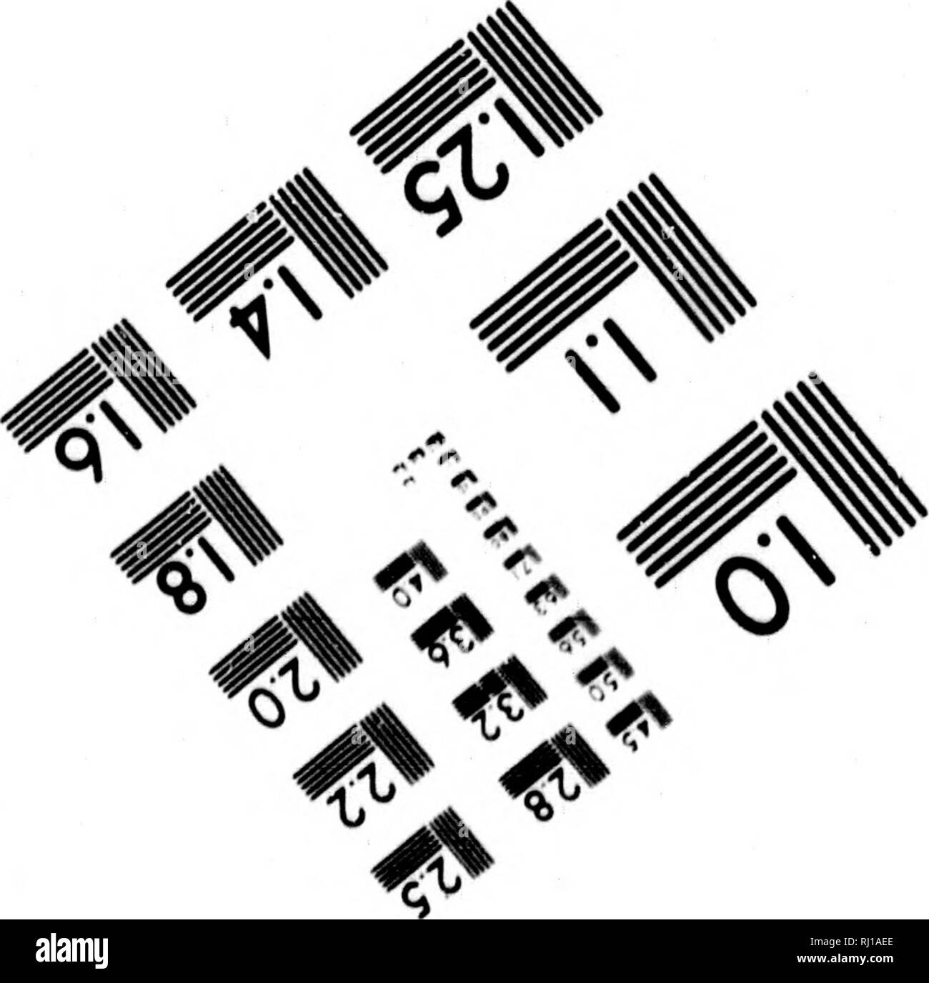 . Verso nord oltre il grande "Ice" [microformati] : un racconto di vita e di lavoro lungo le rive e all'interno di ghiaccio-cap del nord della Groenlandia negli anni 1886 e 1891-1897 : con una descrizione della piccola tribù di Smith-Sound eschimesi, la più settentrionale degli esseri umani nel mondo, e di un account della scoperta e portando a casa del " Saviksue" o grande Cape-York meteoriti. Spedizioni scientifiche; ExpÃ©ditions scientifiques. 1.0 I.I Ui. Â"2^ 12,5 1^ 12.2 liÂ£ lllllio 1,8 1 1,25 1,4 1,6 â < 6" ^ V] vQ /y (9% #*.'^ /'/ Photographic Sciences Corporation 23 Foto Stock