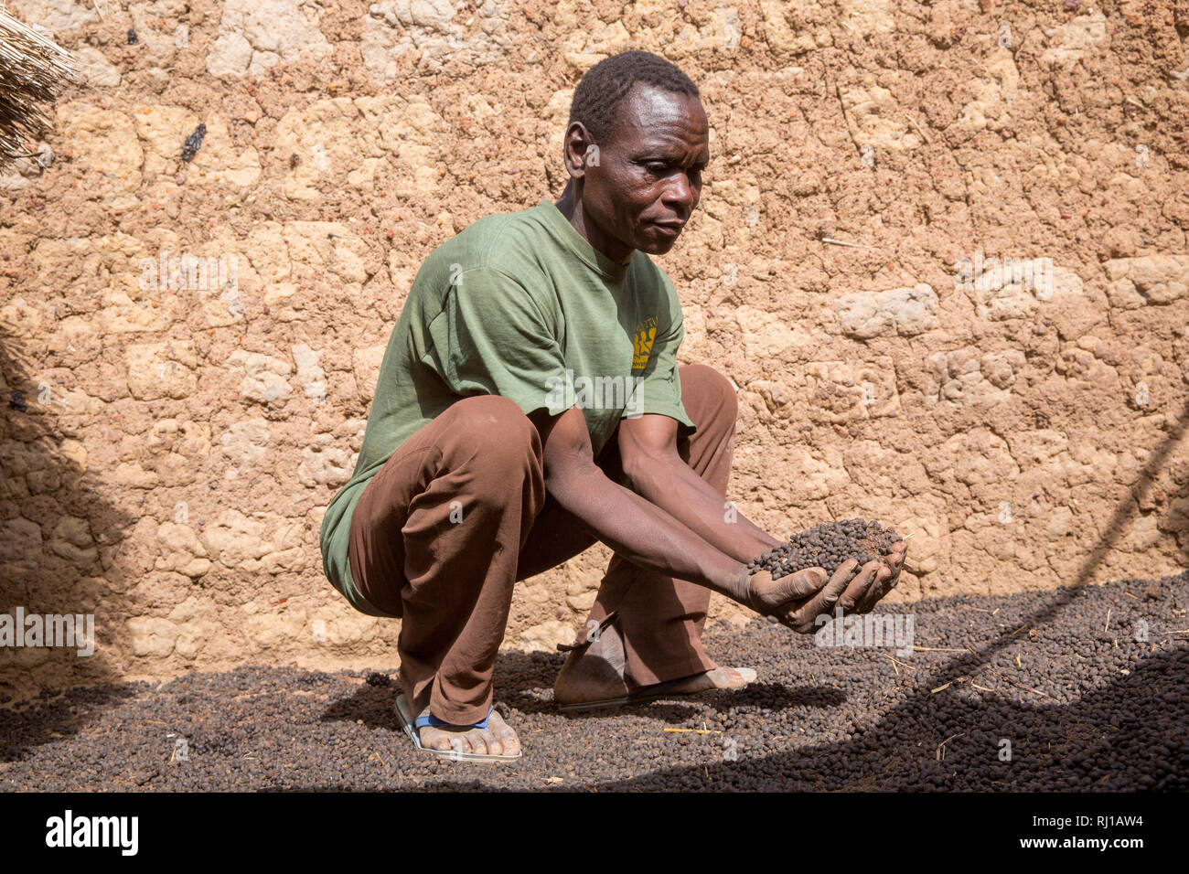 Villaggio Kourono, provincia Yako, Burkina Faso; Moussa Mande, 54, capra progetto beneficiario, con escrementi di capra che farà uso di fertilizzare i suoi campi di raccolto. Foto Stock