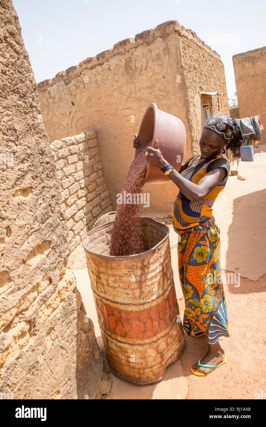 Villaggio Kourono,Yako provincia, Burkina Faso. Mariam Tougma, 23, versando il sorgo ha appena si sono dissolte in un vecchio tamburo di petrolio per memorizzare per conservarli nella sua famiglia composto. Foto Stock