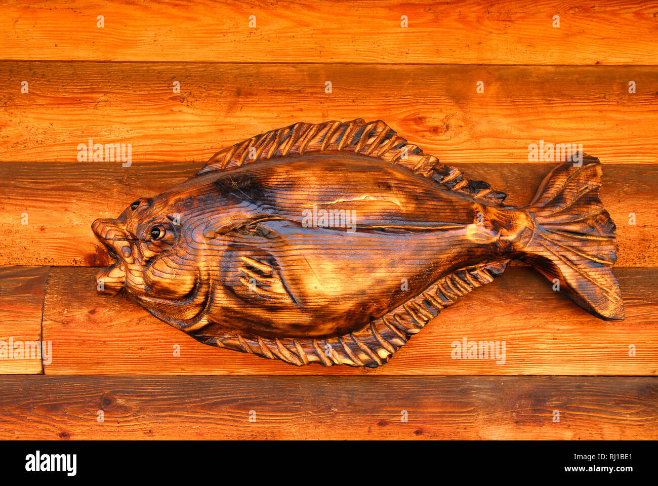 Pesce di ippoglosso curvato su legno Foto Stock