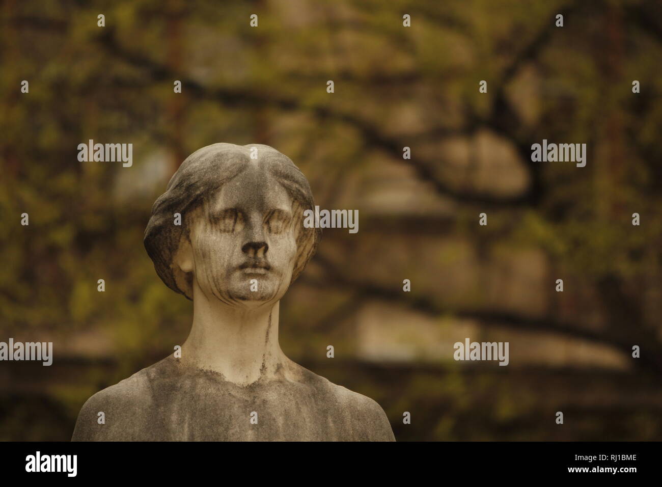 Castalia Statua fontana dettaglio della testa. Foto Stock
