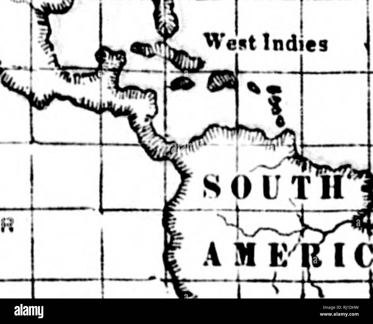 . Scotch inquilino-agricoltori sulle risorse agricole del Canada [microformati] : le relazioni del sig. John Steven, Purroch Farm, Hurlford, Ayrshire; e il sig. Alex. Fraser, Balloch di Culloden, Inverness, sulla loro visita in Canada nel 1893. Agricoltura; gli agricoltori; Scots; Agricoltura; Agriculteurs; Ecossais. V â -r-^/" 1 1' |-VV&LT;.Ebridi STRAMA AO 100 120 ^AJ'FeeBee lÂ". 'T.,' za V XEW'ZKAI.AKD 160 t'enri li. l'XITi:i)|HTATKS ' Nen Orleans. 'J Bus ton ^ Mi Vew-York- Halit'nx A.-A e q Li A T o 8 AMKltIC :ARÂ"F.ST1S1 Ikkpiibm 140. Si prega di notare che queste immagini vengono estratte dalla pagina sottoposta a scansione immagini che Foto Stock