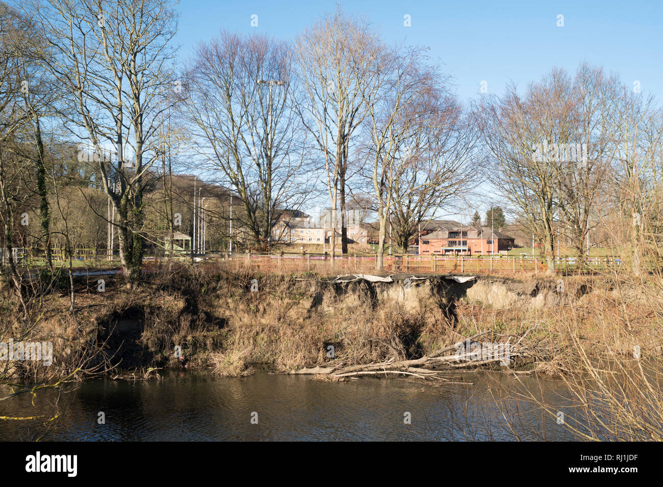 Erosione della sponda del fiume indossare come esso fluisce attraverso Durham City, England, Regno Unito Foto Stock