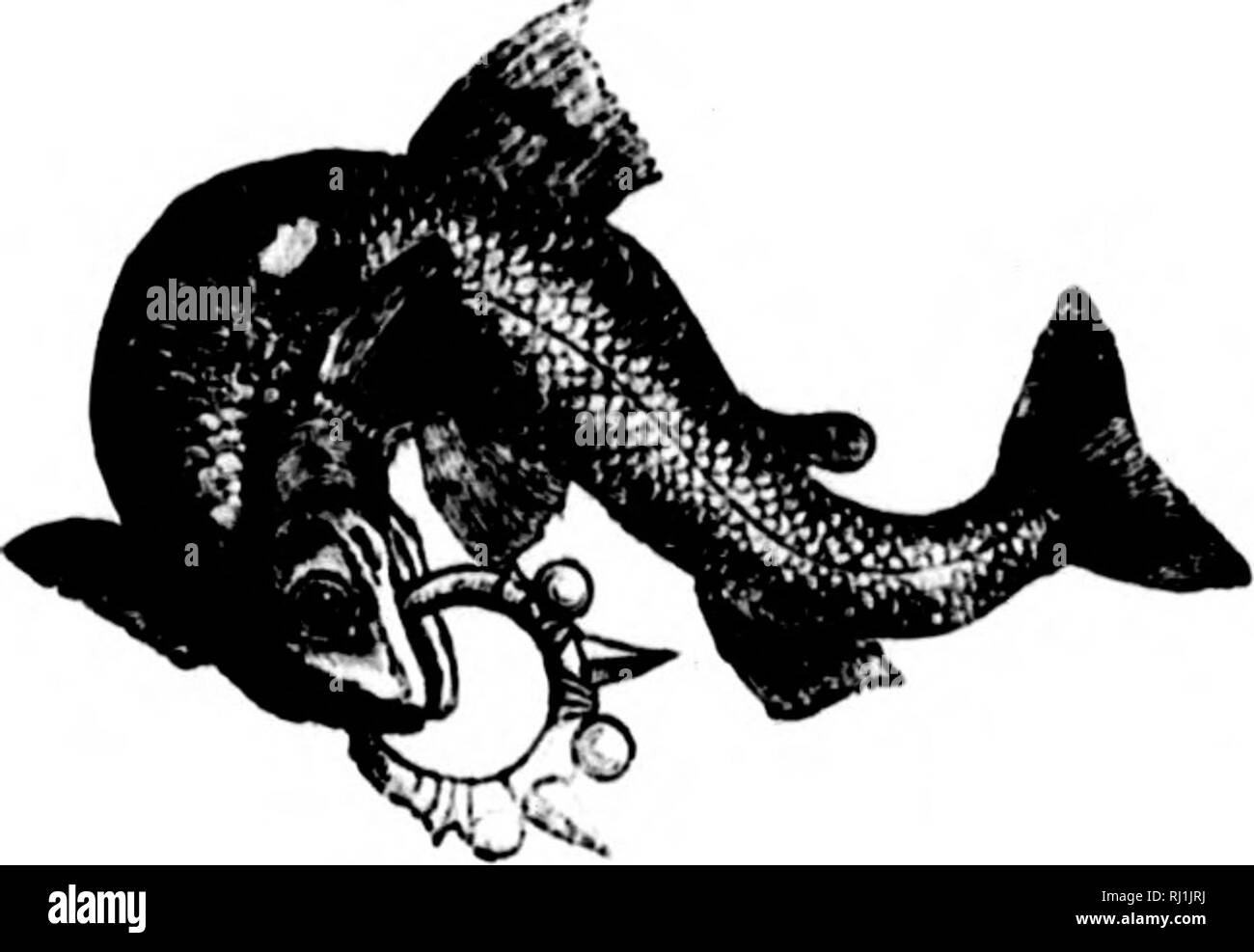 . American pesci [microformati] : un famoso trattato su il gioco e il cibo pesci del Nord America, con particolare riferimento alle abitudini e i metodi di cattura. Pesci; Pesca; Poissons; PÃªche sportive. AMERICAN pesci un POl^ULAR trea'hsl: SU IHK GIOCO E CIBO PESCI DEL NORD AMERICA CON PARTICOLARE RIFERIMENTO ALLE ABITUDINI â ¢ E DI METODI DI CATTURA BV G. BROWX GOODII UN88I8TANT SKCRKTARY l)H TIIF. Lo Smithsonian INSTITITIIlN IN CH VIKIK REGNO UNITO fino a; r. S. NATIllNAI. HI.'.SKUW LATR r. S. roMMISSlONKK TIIK a. INTKKX XTIONAl, FISllKltlKS KXIIIIUTIONS IN HKKLIN E LONDRA; AfTIIOR OK "(iAMK I'lSHKH OK TII Foto Stock