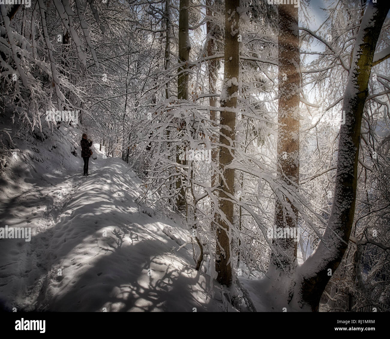 DE - Baviera: boschi invernale lungo il fiume Isar a Bad Toelz (HDR-immagine) Foto Stock