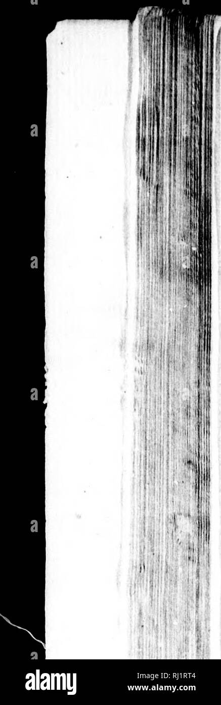 . Miscellanies [microformati]. Passaggio a nord ovest; Storia Naturale; Nord-Ouest, Passage du; Sciences Naturelles. n-: M [ 56 ] fea, feems altamente probabile che questo è il tempo giusto oi pulhlng al nord, come il ghiaccio^ in fuch fiumi non possono essere poi completamente rotto. Che cosa altri ice può quindi essere feen in questo momento è probabilmente i resti di quello che è stato dif- embogued durante il precedente fummer. Un altra prova di questo arifes da ciò che è accaduto in lyy^io per la Carcafe e gara Horfe erano obflrufted, a 80Â° e mezza, da un immenfe banca del ghiaccio, durante parte dei mesi di luglio e Auguft Foto Stock