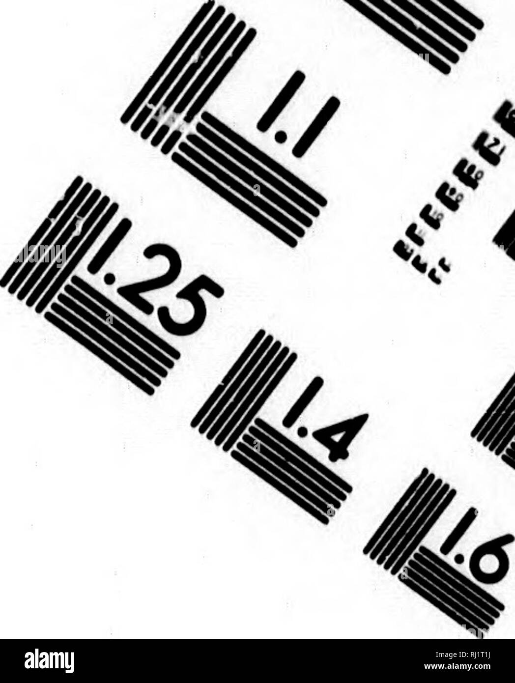 . L'ultimo dell'Artico viaggi [microformati] : essendo un racconto della spedizione in H.M.S. Assistenza sotto il comando del capitano Sir Edward Belcher, C.B., in cerca di Sir John Franklin, durante gli anni 1852-53-54. Franklin, Giovanni, Sir, 1786-1847; Franklin, Giovanni, Sir, 1786-1847; assistenza (nave); assistenza (Navire); Storia Naturale; Sciences Naturelles. Valutazione di immagine il bersaglio di test (MT-3). ^., 1.0 ^K* 2A i 1.1 â 2,2 H^ liÂ£ 12,0 mi nils 1,8 1:25 1111114 IIIIIL6 VQ 0^ /a ^r '/. Si prega di notare che queste immagini vengono estratte dalla pagina sottoposta a scansione di immagini che possono essere state migliorate digitalmente per r Foto Stock