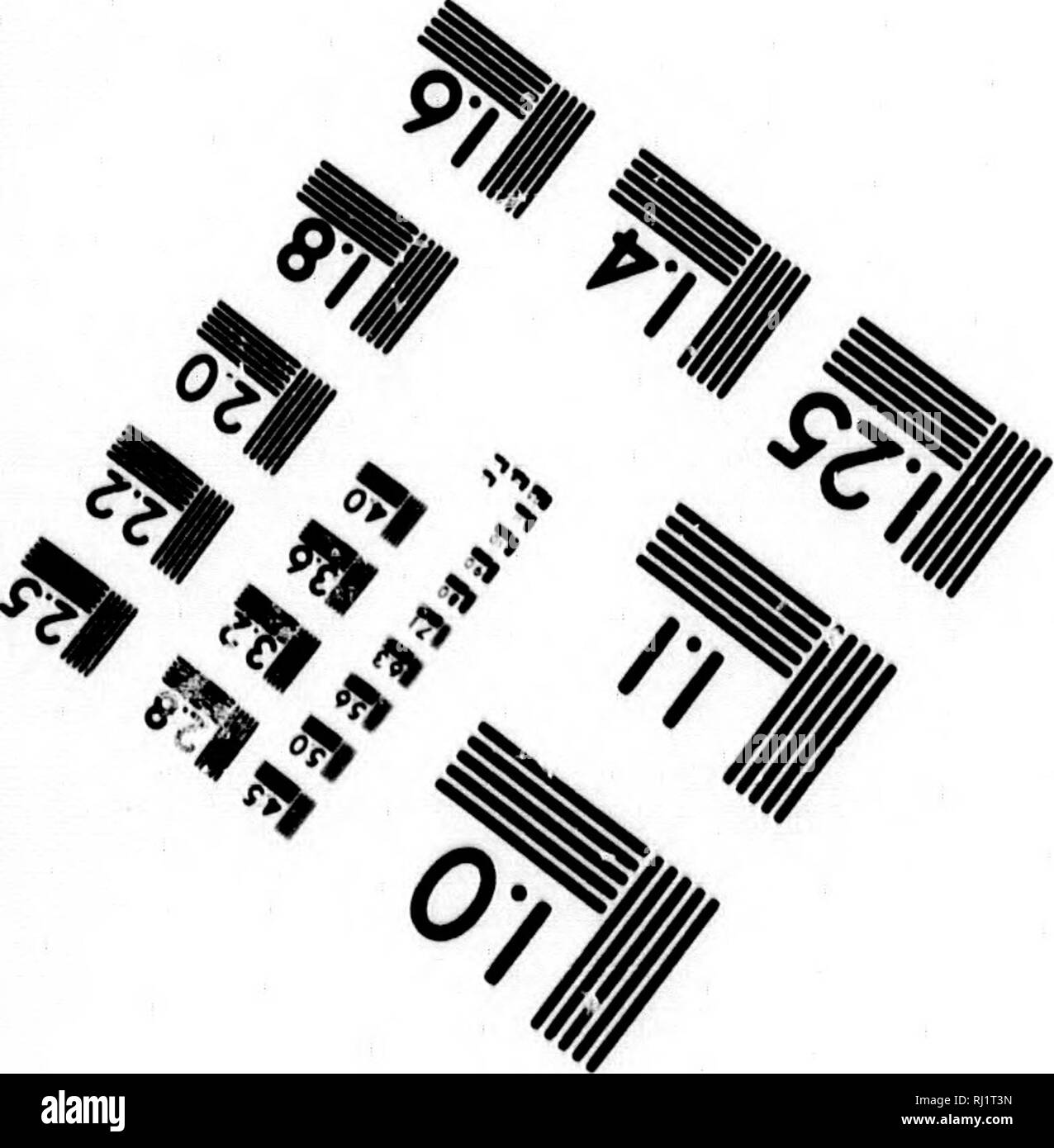 . L'ultimo dell'Artico viaggi [microformati] : essendo un racconto della spedizione in H.M.S. Assistenza sotto il comando del capitano Sir Edward Belcher, C.B., in cerca di Sir John Franklin, durante gli anni 1852-53-54. Franklin, Giovanni, Sir, 1786-1847; Franklin, Giovanni, Sir, 1786-1847; assistenza (nave); assistenza (Navire); Storia Naturale; Sciences Naturelles. Valutazione di immagine il bersaglio di test (MT-3) 1.0 ^^^u^ 5=-- Ui Itt 12,2 U Iti 1.1 l.-^IKS I.III MI^ll^li4 ^ 6"?. Photographic Sciences Corporation 23 WeST STRIET PRINCIPALE WEBSTER, N.Y. MSSO (71 A) S73-4503 iV k V 4 (^ r&LT;^ &lt;^ ^ 6 b^^^^^^^^^' Foto Stock