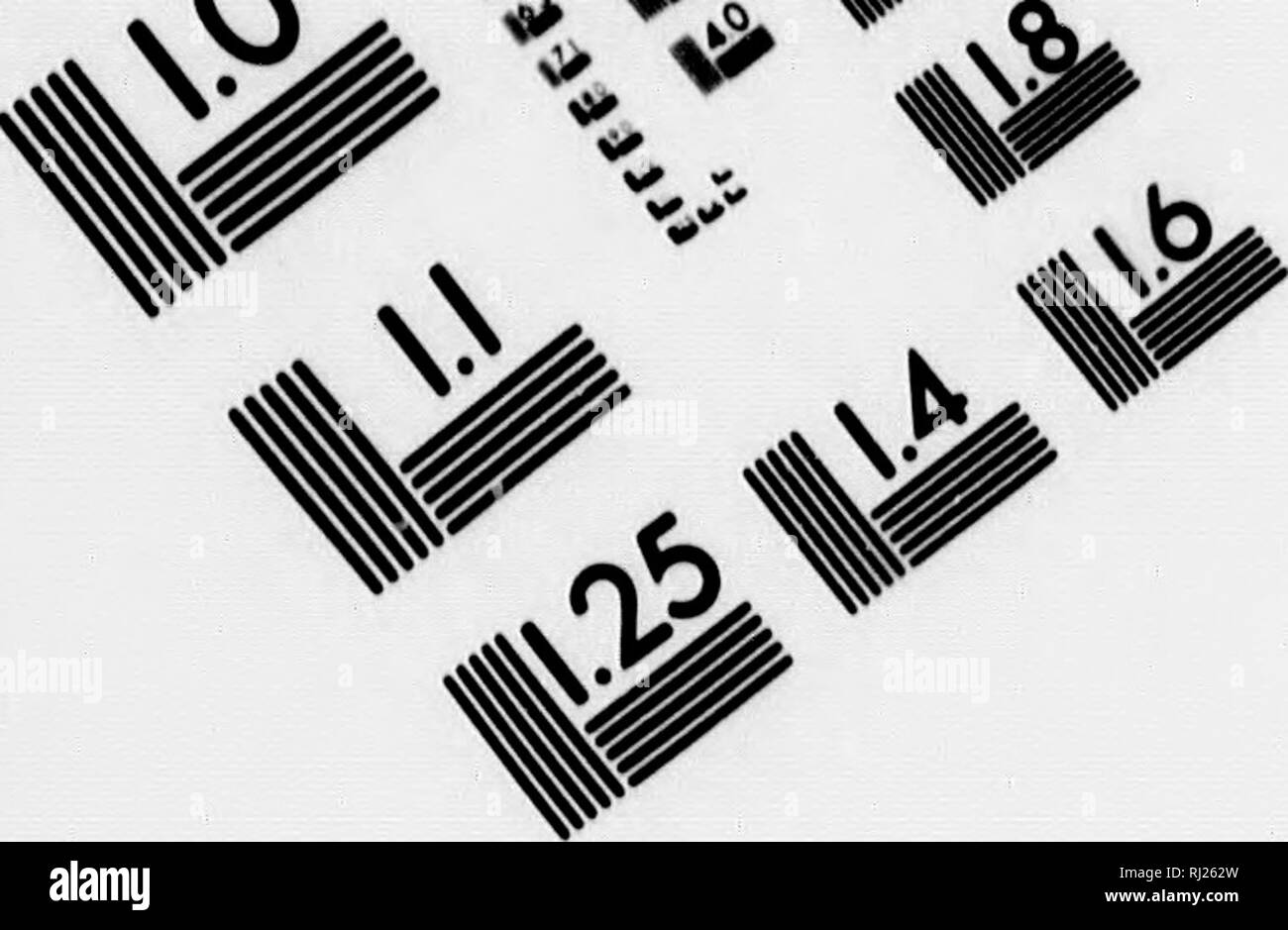 . Racconto di un viaggio alle rive del mare polare, negli anni 1819-20-21-22 [microformati]. Spedizioni scientifiche; Expéditions scientifiques. Valutazione di immagine il bersaglio di test (MT-3) fe // ^4l '/. % % 1.0 11.25 Ui |2^ 12,5  1^ 12.2 ^ B^ 1.1 r-^u^ U 11,6 '/ Hiotographic Sciences Corporation L1&GT;^ v&GT; lV "" -. ^ ^ ^ ^ 0^ •e^ 23 WEST MAIN STREET WEBSTER, NY. 14580 (716) 872-4503. Si prega di notare che queste immagini vengono estratte dalla pagina sottoposta a scansione di immagini che possono essere state migliorate digitalmente per la leggibilità - Colorazione e aspetto di queste illustrazioni potrebbero non perfettamente assomigliano al mar morto Foto Stock