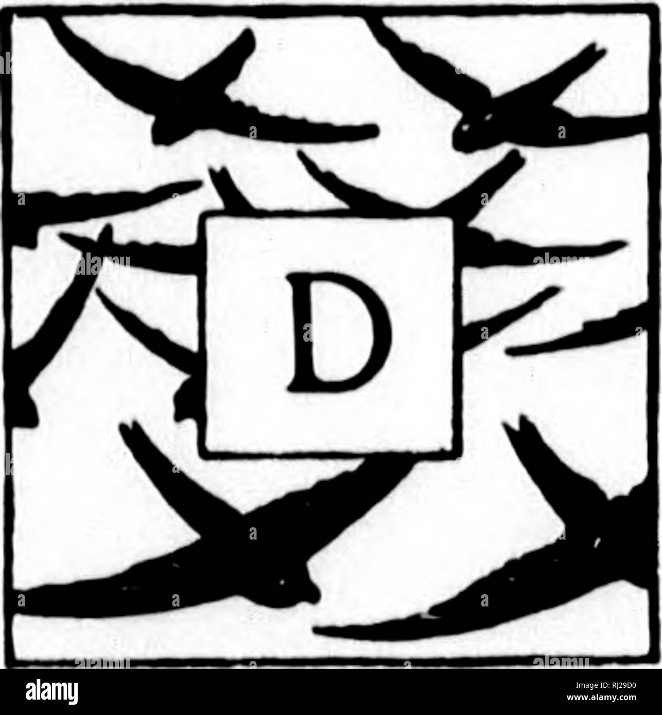 . La storia naturale di Selborne [microformati]. Storia naturale; Sciences Naturelles. ya&amp;£efon vfugo/rcCem. U&GT;cM mi LETTERA XXXIX. Allo stesso. Selborne, può X'^th, 1778. Orecchio SIR,-fra le tante singolarità frequentare- ing quelli divertenti uccelli i rondoni, io sono ora confermato nel parere che abbiamo ogni anno lo stesso numero di coppie invariabilmente; almeno il risultato della mia ricerca è stata esattamente la stessa per un lungo periodo di tempo passato. Le rondini e martins sono così numerosi e così ampiamente distribuito al di sopra del villaggio, che è difficilmente eventualmente per raccontare loro ; mentre i rondoni, sebbene esse non Foto Stock