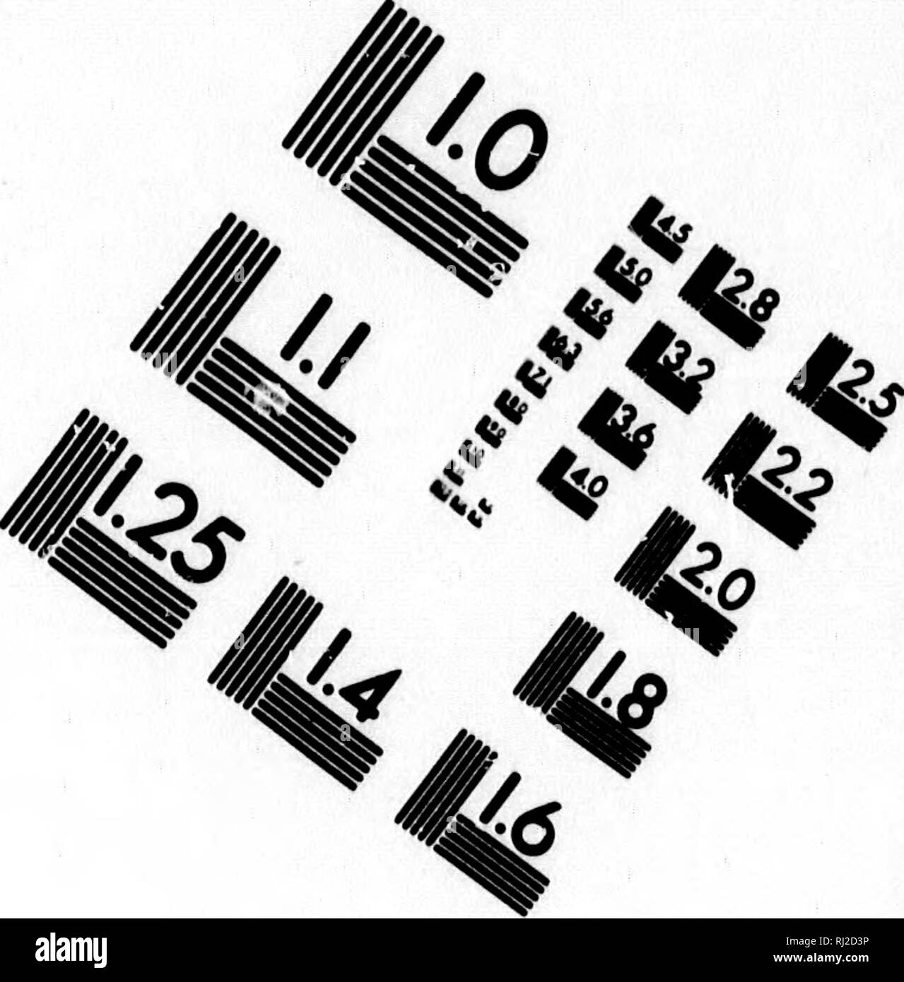 . Classe-libro di botanica [microformati] : essendo i contorni delle strutture, la fisiologia e la classificazione delle piante : con una flora di Stati Uniti e Canada. La botanica; botanica; piante; piante; Botanique; Botanique; Plantes; Botanique. Valutazione di immagine il bersaglio di test (MT-3). 1.0 uit2^ 12,5 â 50 â ¢^â ¢ M^H â u l&amp;i 12.2 â¢un u L25 mu 11.6 I.I 7 ^ ^i^ %. Si prega di notare che queste immagini vengono estratte dalla pagina sottoposta a scansione di immagini che possono essere state migliorate digitalmente per la leggibilità - Colorazione e aspetto di queste illustrazioni potrebbero non perfettamente assomigliano al lavoro originale. Legno, Alphonso, 1810-1881. N Foto Stock