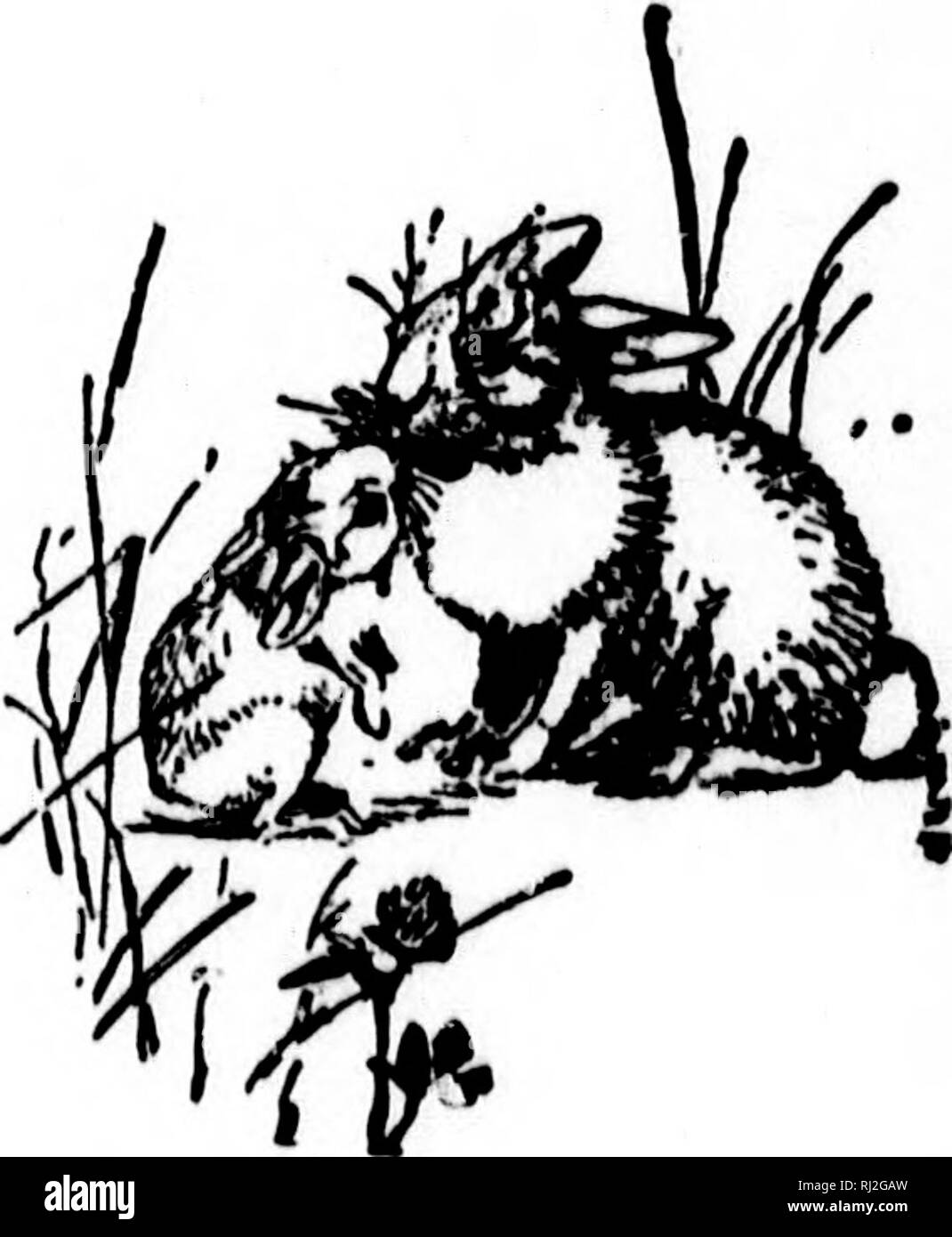 Trucchi 2 Disegni Da Colorare 24