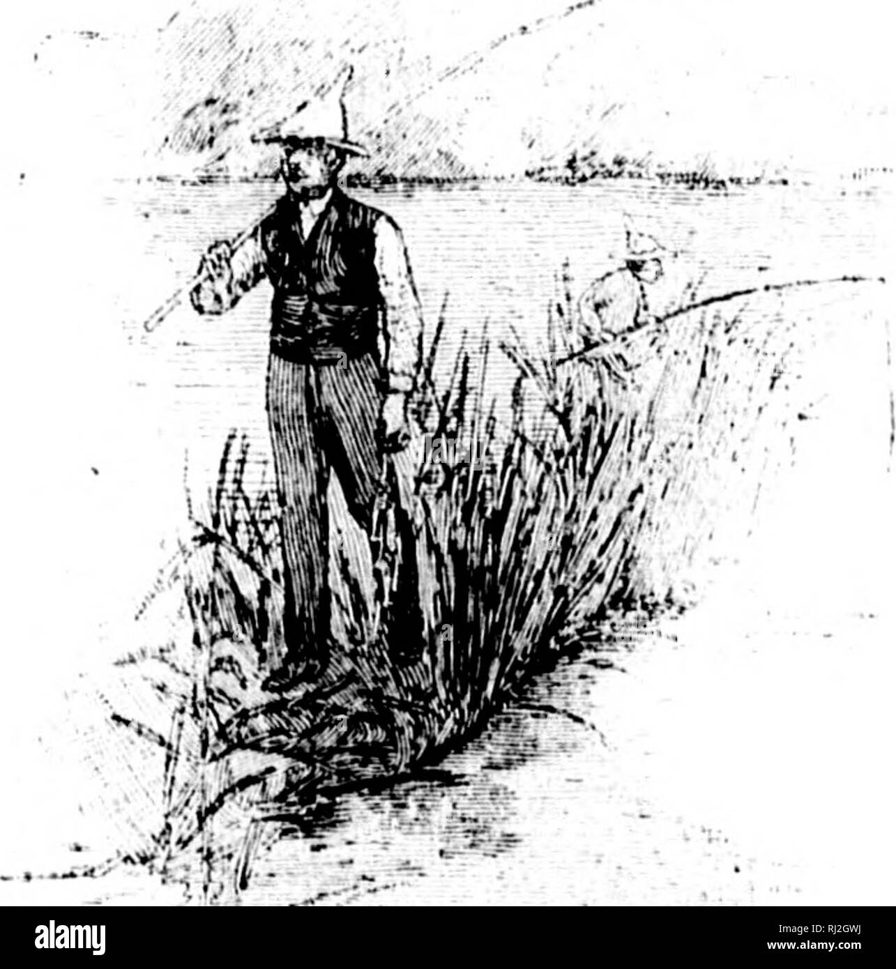 . La pesca e la ripresa lungo la linea della Canadian Pacific Railway, nelle province dell'Ontario, Quebec, British Columbia, alle Province Marittime e le praterie e le montagne del Canada occidentale [microformati]. La pesca; Caccia; Pêche sportive; Chasse. rivestita da llow" ng bosco a: basso noti come i: s acqua e metà i unly ha tenuto la sua ow le floodeti coun ere formata, ov i)f anatra e otlii serratura, suggc itural acqua hi;; () laghi di greati f riso, erbacce, ni iidcau è reaclii!. ]V. Si prega di notare che queste immagini vengono estratte dalla pagina sottoposta a scansione di immagini che possono essere state migliorate digitalmente per r Foto Stock