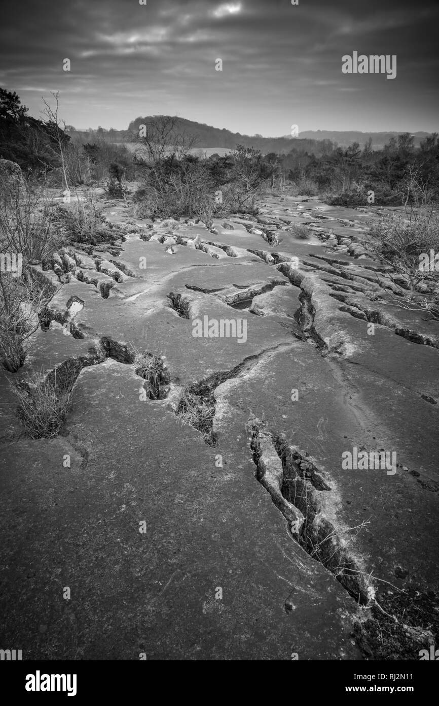 Pavimentazione di pietra calcarea in Gait carriole Riserva Naturale, Silversale e Arnside AONB Foto Stock