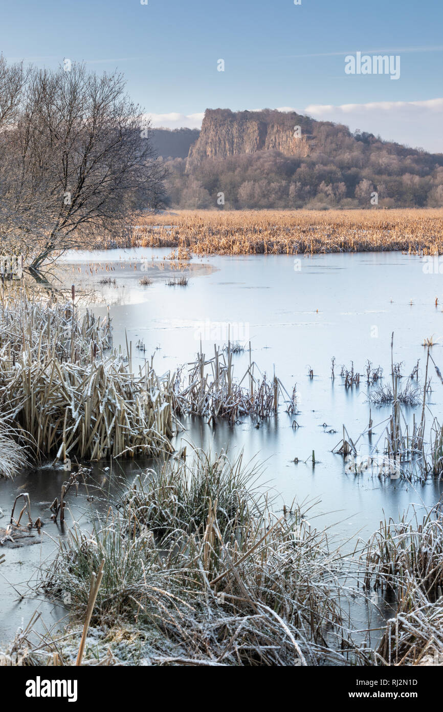 Acque congelate e canneti di Silverdale Moss con Middlebarrow Hill a distanza Foto Stock