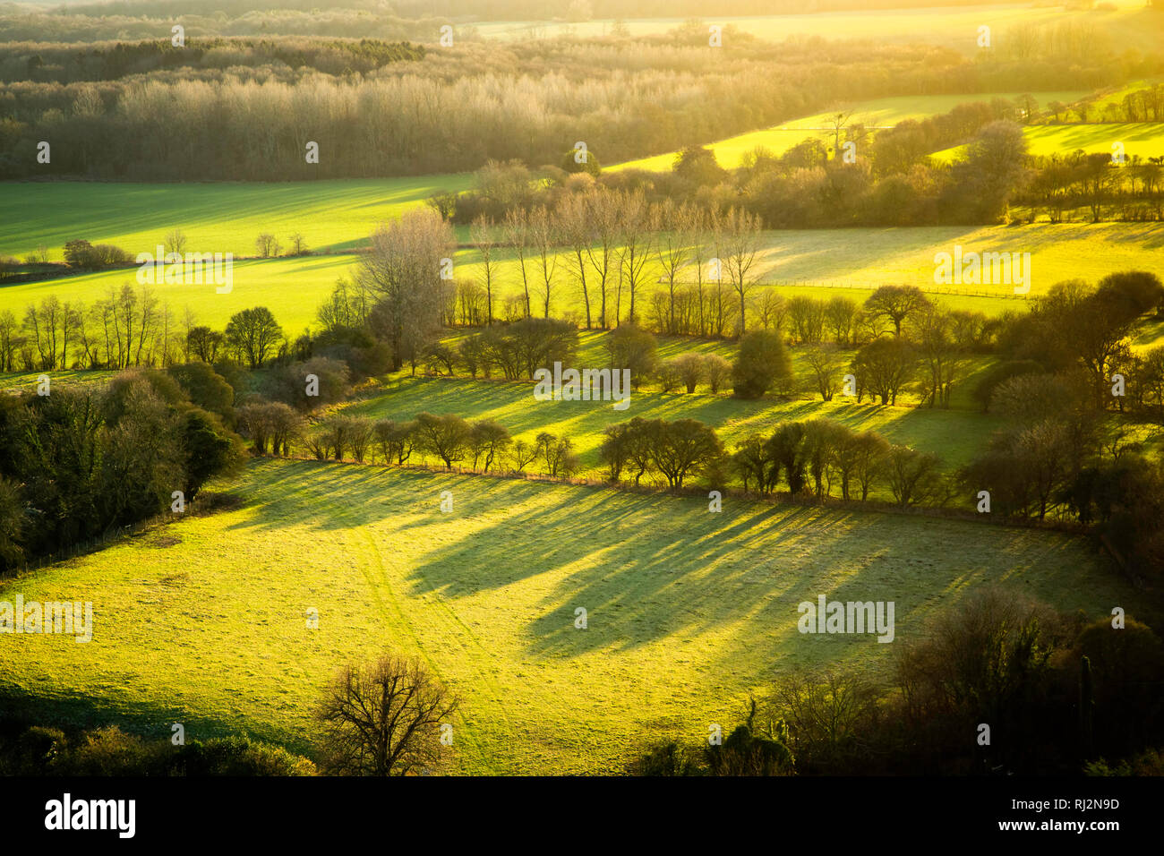 Lunghe ombre in vista in questa scena dalle Kent Downs, Wye, Kent, Regno Unito dei campi verdi e degli alberi sottostanti. Nel tardo pomeriggio di gennaio. Foto Stock