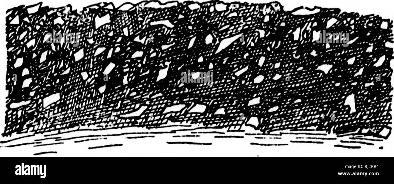 . Agricoltura pratica [microformati]. Agricoltura; l'agricoltura. IQO AGRICOLTURA. fuori della ghiaia; in breve, la ghiaia deve essere il più possibile puliti; esso dovrebbe essere vagliato, classificato e mettere in strati, e dovrebbe essere ben arrotolato. Strade di pietra.-Come una regola, ghiaia è più o meno arrotondato, e quindi non in un primo momento si legano bene. Voi sapete che una strada potrebbe non essere ben fatta di marmi. Per legare e non ci devono essere spigoli vivi e ruvidi i lati sui pezzi. Troviamo così che la pietra rotto farà una più forte e più durevole road rispetto a ghiaia. Ma non dobbiamo dimenticare i punti già referre Foto Stock