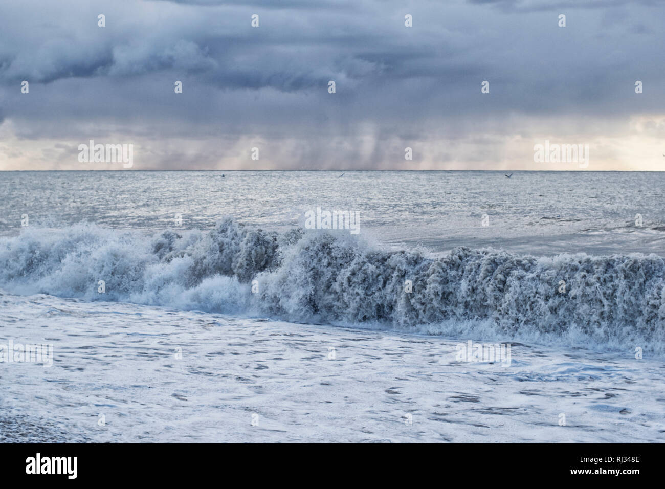 Seascape durante una tempesta con una grande onda contro la pioggia di volo con i gabbiani Foto Stock