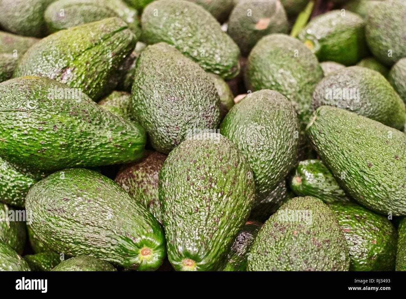 Un sacco di verde frutto di Avocado giacciono sul bancone del negozio Foto Stock