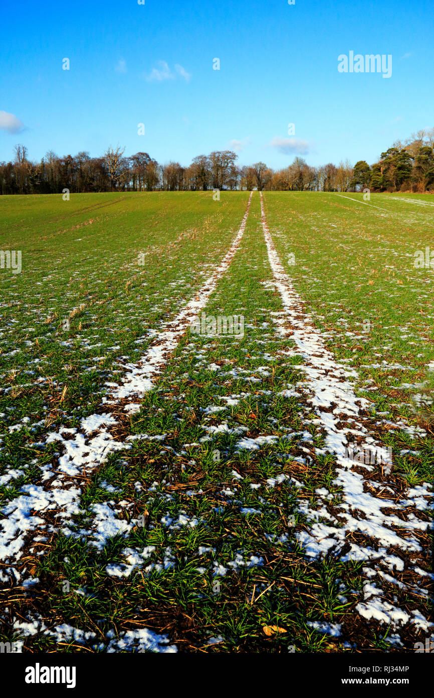 Le tracce in un campo nevoso vicino a Broughton in Oxfordshire Foto Stock