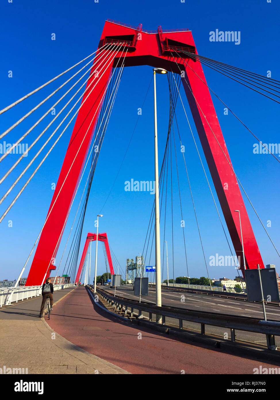 Ciclista attraversando il ponte Willemsbrug spanning la Nieuwe Maas river a Rotterdam, Paesi Bassi. Ponte rosso di tralicci e cavi contro il cielo blu Foto Stock