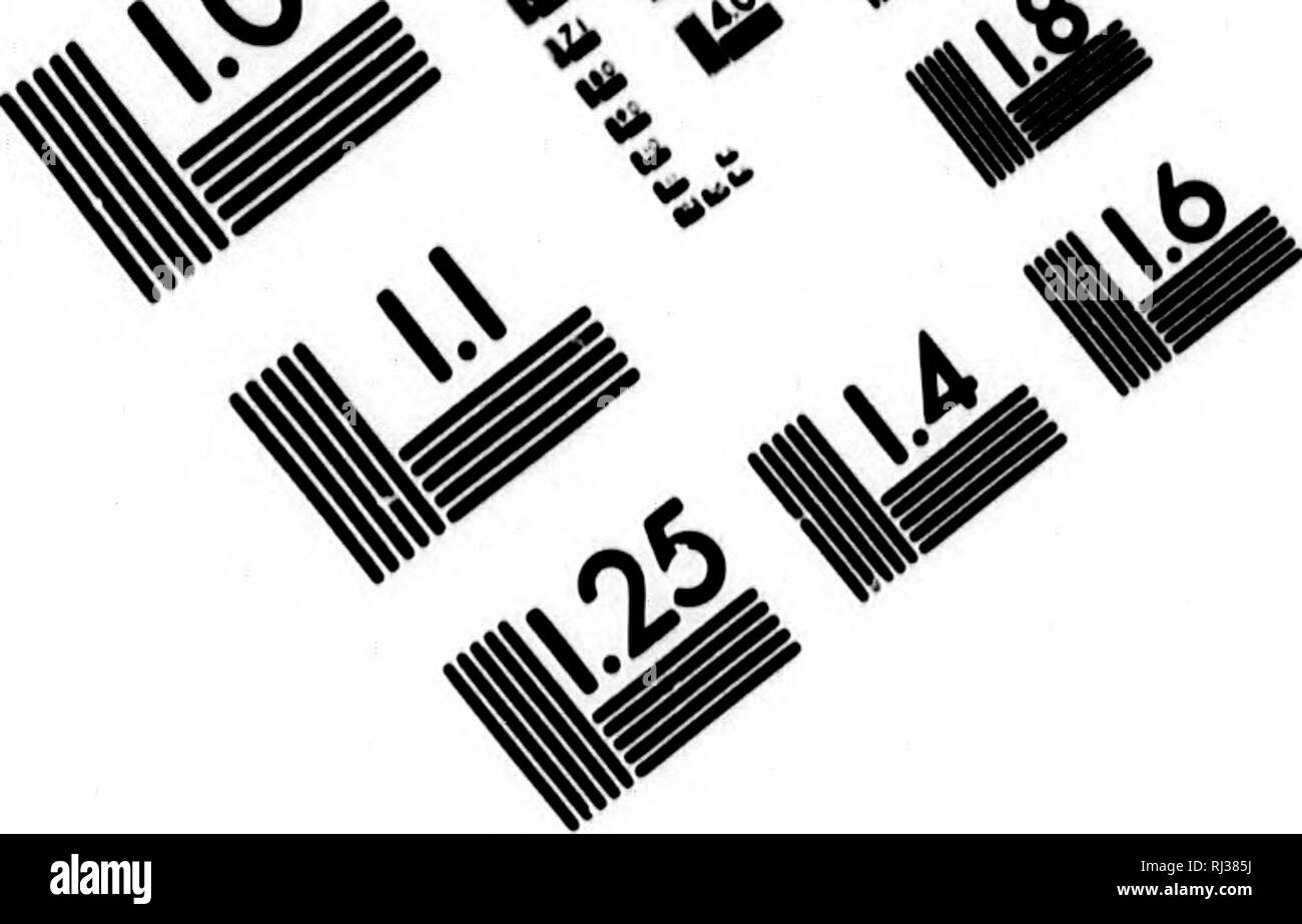. Nieuwe ontdekkingsreize rondom de Wereld in de jaren 1823, 24, 25 en 26 [microformati]. Viaggi in tutto il mondo; Zoologia; Voyages Autour du monde; Zoologie. IR. Valutazione di immagine il bersaglio di test (MT-3) k // // &gt;&GT;^Ã¯ /O UN* 1.0 1.1 11,25 M 125 â 4.0 *^ 13.6 WÃÃªÃ lU Itt u 1^ Uil &lt;^ '5 /} %". Si prega di notare che queste immagini vengono estratte dalla pagina sottoposta a scansione di immagini che possono essere state migliorate digitalmente per la leggibilità - Colorazione e aspetto di queste illustrazioni potrebbero non perfettamente assomigliano al lavoro originale. Kotzebue, Otto von, 1787-1846; Eschscholtz, Friedrich, 1793-1831. Haarlem : De Mer. Foto Stock