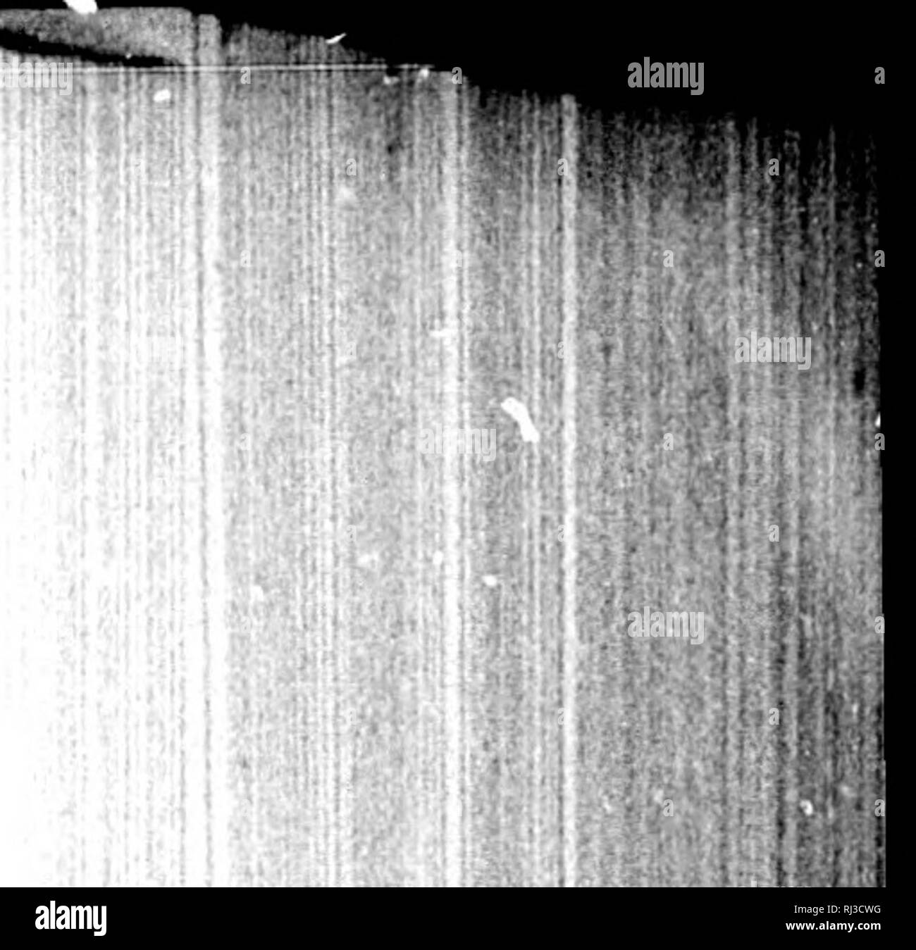 . I pesci del Nord e Centro America [microformati] : un catalogo descrittivo della specie di pesce-come i vertebrati si trovano nelle acque del Nord America, Nord dell'istmo di Panama. Pesci pesci Poissons; Poissons. Pollici. ... 16Io ... 43 ... 11 ... 13 ... 2J ... 133 ...15 ... Ciao ... 6J ... 4,", ... 173 (Spot AF Giordania e Evermann.âFishes del Nord America. 2749 Pagina 49. Lamna cofnubica, il salmone, Shark è un))undaut e destruc- tivo al salmone sulle coste meridionali della Alaska, specialmente circa Kadiak, dove è stato visto da noi. Pagina 53. Sotto Sqitalidw, leggere ovovivipara per &qu Foto Stock