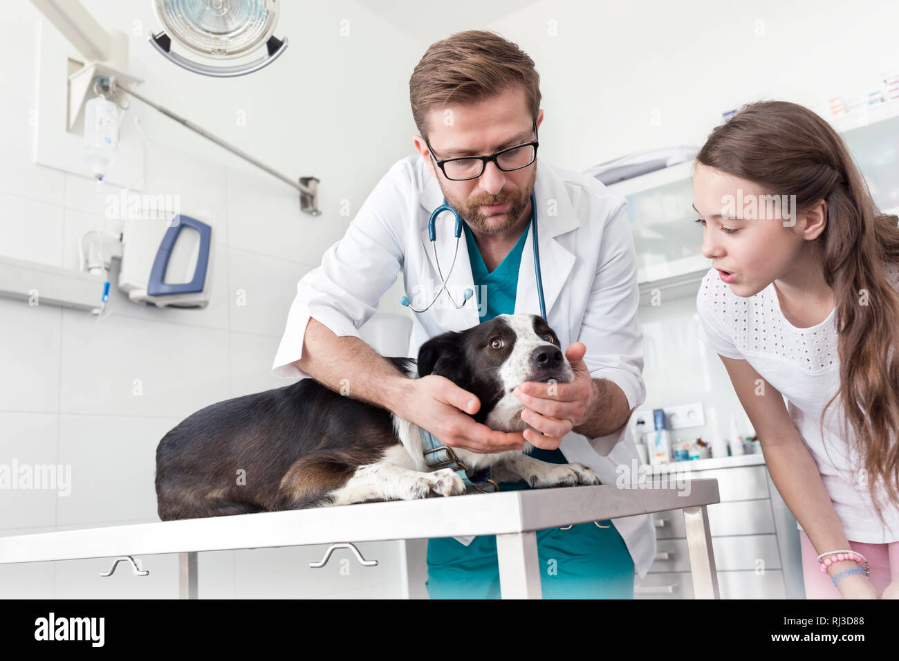 Ragazza guardando il medico veterinario esaminando cane sulla tabella in clinica Foto Stock