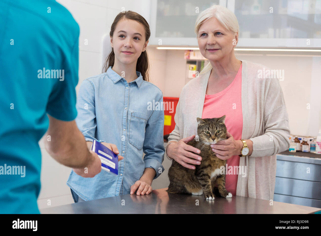 Medico dando documento alla ragazza mentre stanno in piedi da senior donna con gatto in clinica veterinaria Foto Stock