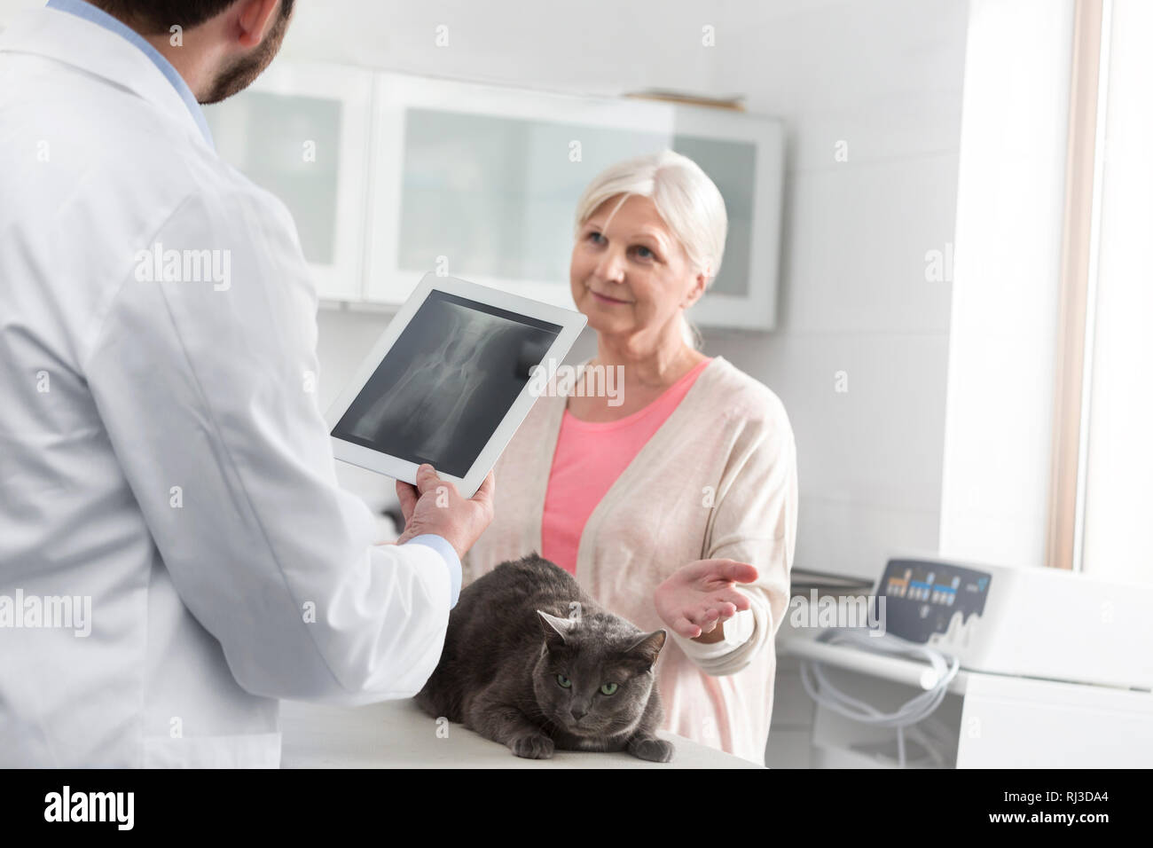 Senior donna guardando il medico in piedi con la tavoletta digitale in clinica veterinaria Foto Stock